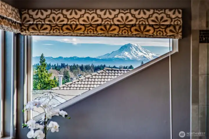 HUGE view of the mountain from the primary bath!