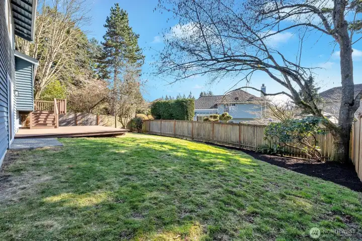 Another view of the fenced backyard.