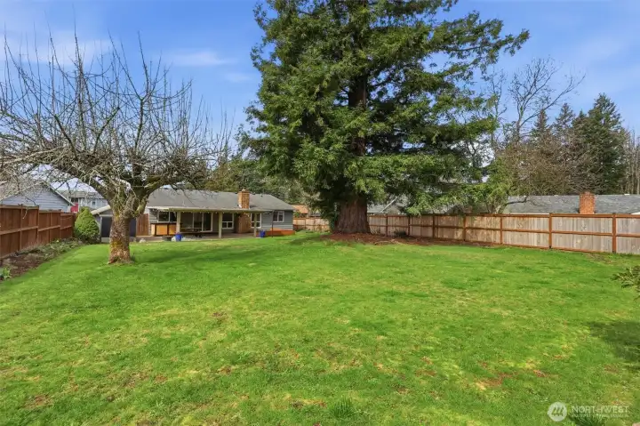 Newer fully fensed back yard with a dog run on the side yard