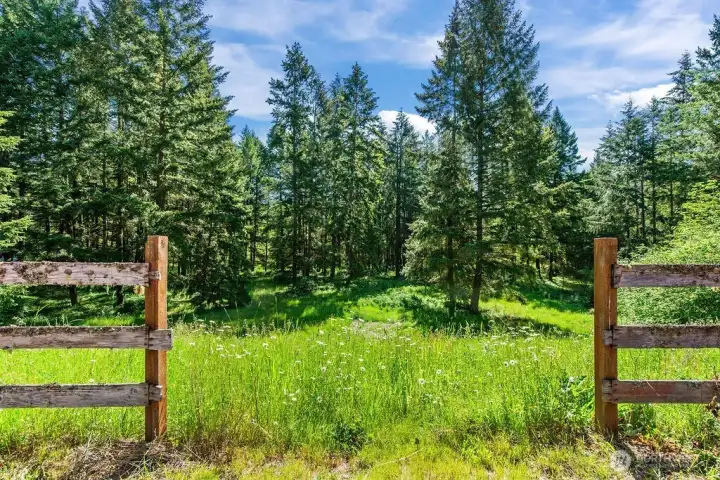 This portion of the property was previously used as pasture