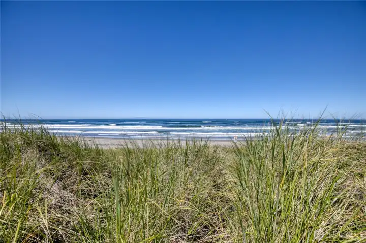 Enjoy the ever changing views of the pacific ocean Enjoy the ever changing views of the pacific ocean