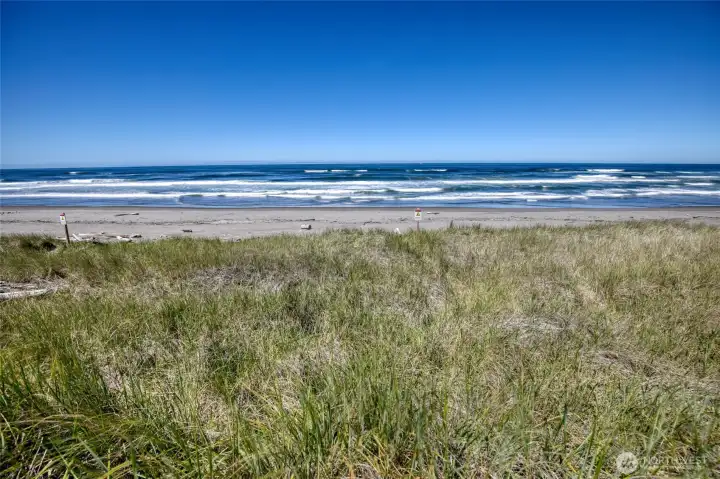 This is your backyard. This is your backyard.