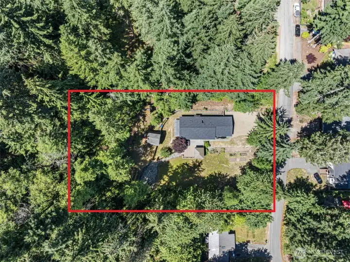 Large .62 acre lot Large .62 acre lot