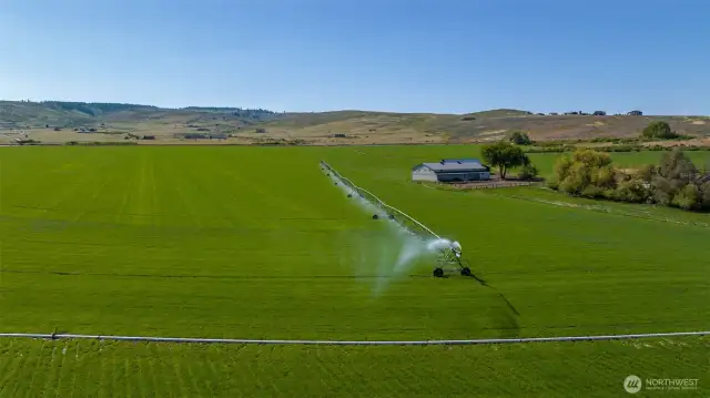 This property is equipped with a pivot system and 8" & 10" irrigation pipes.