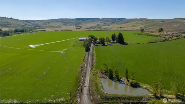 Driving up the long private driveway from Weaver Road, you approach the main house and guest house, nestled in the heart of the property. This west-facing view showcases the expansive open land, offering privacy, space, and endless possibilities. A true countryside retreat just minutes from town!
