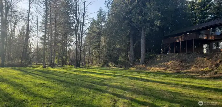 More of the backyard (closer to the back of the house).