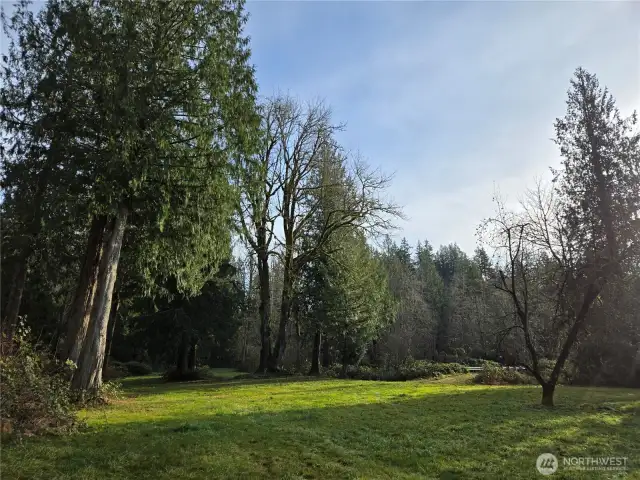 Beautiful, serene land that is full of possibilities!