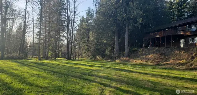 More of the backyard (closer to the back of the house).