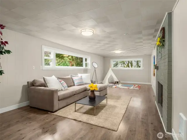 Family room/Rec room in basement