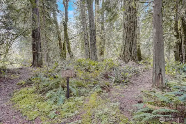 lots of trails and hiking on your own property, park like setting.