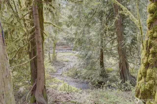 One of many beautiful trails and things to see on your own island