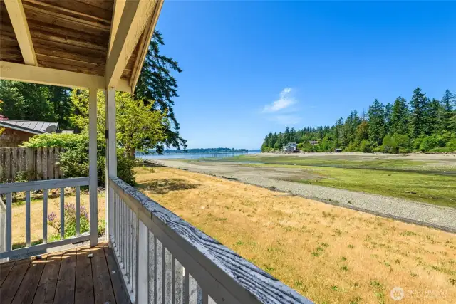 Beautiful views off of the cabin porch