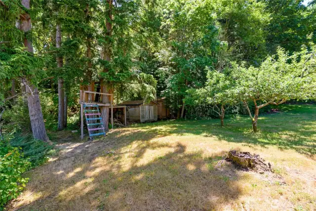 Shed and treehouse on the property, surrounded by fruit trees