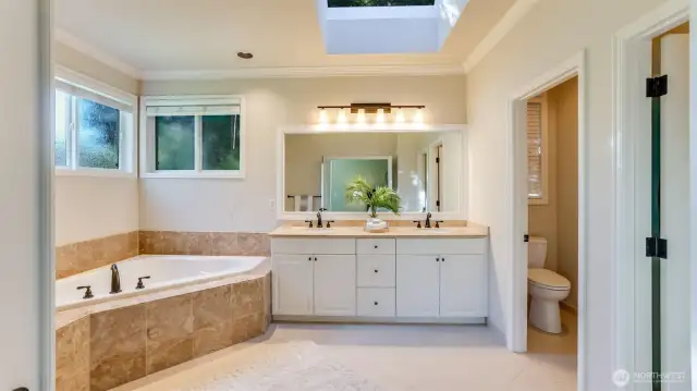 Other features include privacy glass, skylight and large walk-in closet off to the right