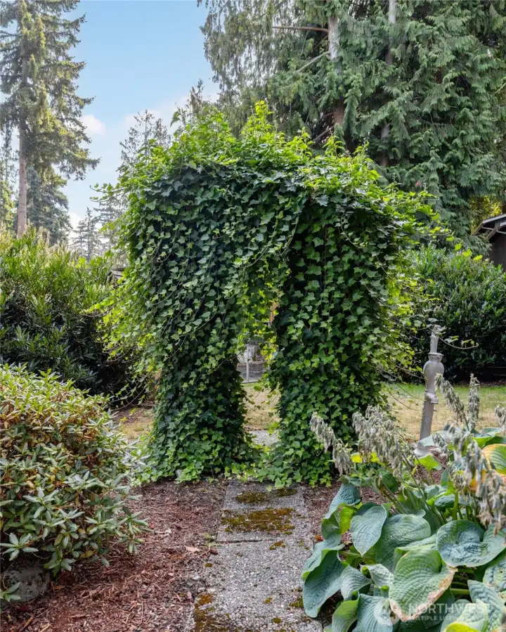 A lovely arbor with very healthy ivy draped all over it. We thought about pruning it, but decided to let you do the honors. It could be done so many ways.
