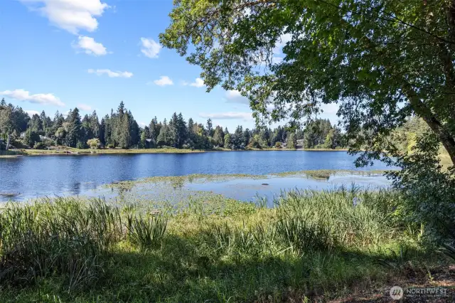 Another view of Munn Lake