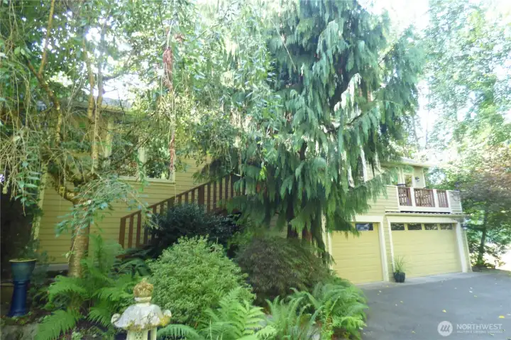 Small front yard makes easy maintainance.