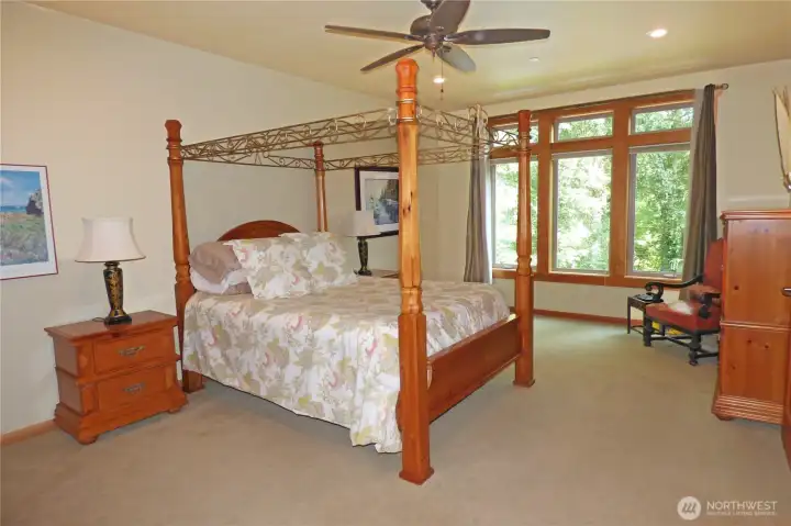 Another view of the primary overlooking the front of the house. Note the ceiling fan. Fire ladder also included.