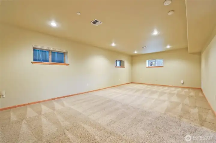 Large downstairs family room.