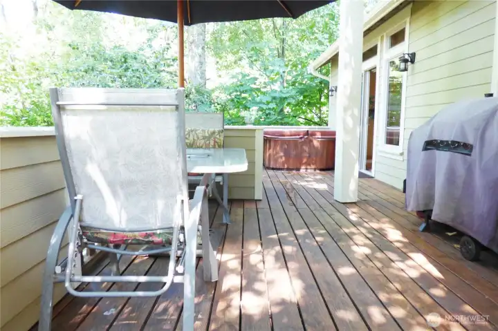 Backyard deck complete with hot tub, BBQ and table.