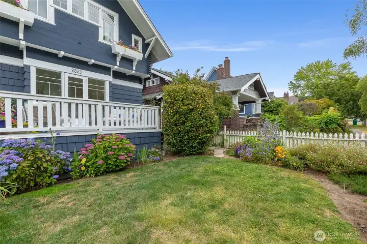 Another look at the front yard...