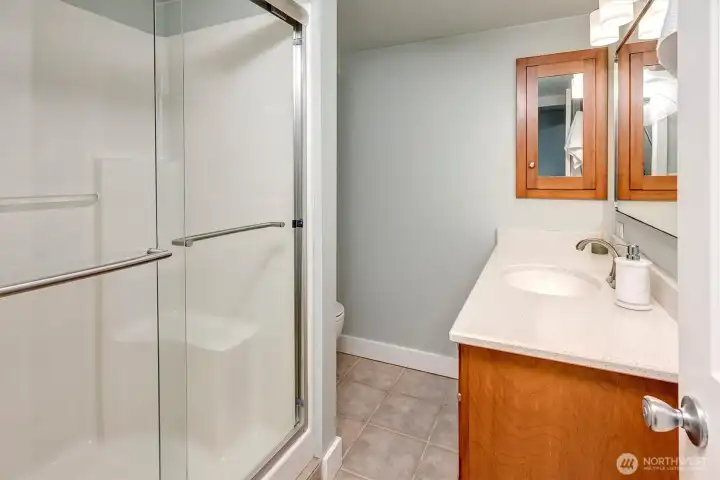 Primary bath and shower