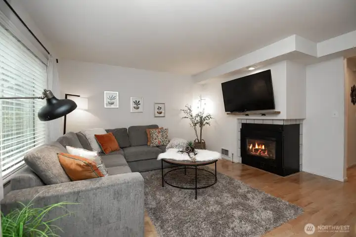 Cozy gas fireplace insert