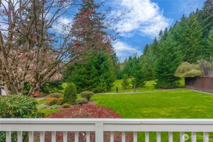 Private Backyard overlooking horses