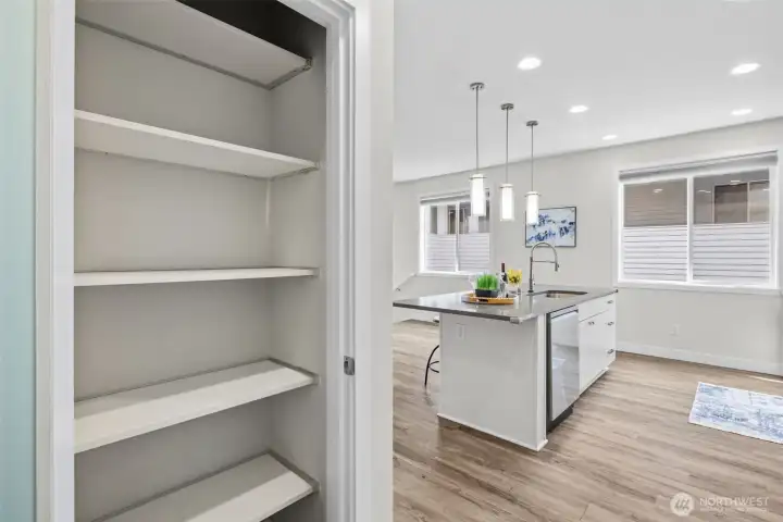Plenty of pantry storage