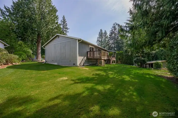 Spacious back yard partly fenced.