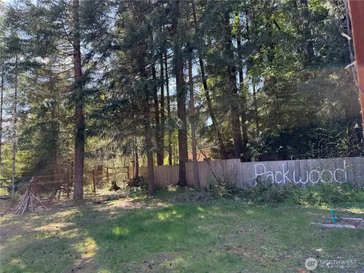 Backyard is fenced on two sides.
