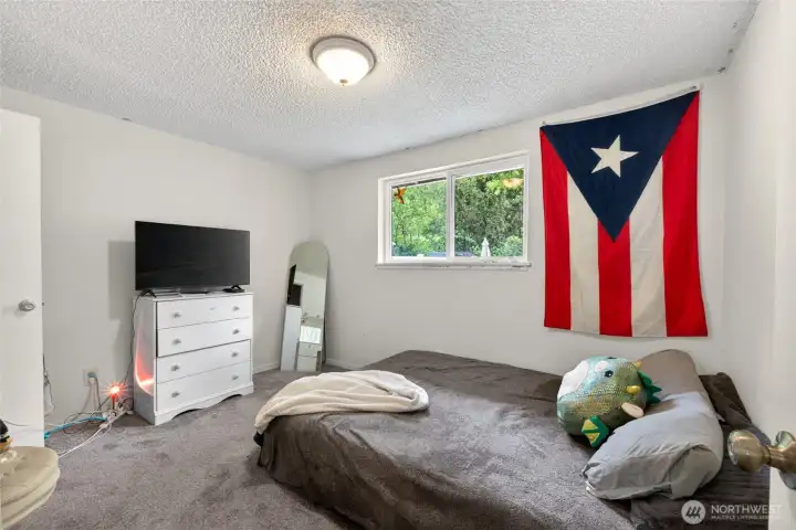 Private secondary bedroom located on the back side of the home, offering peaceful views of the backyard greenery and added separation from the main living areas. The room features newer carpet, natural light, and a comfortable layout.