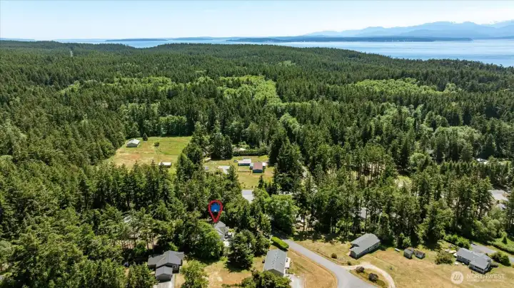 Tucked away in the trees off a side street, this property is quiet, private, and comfortable.