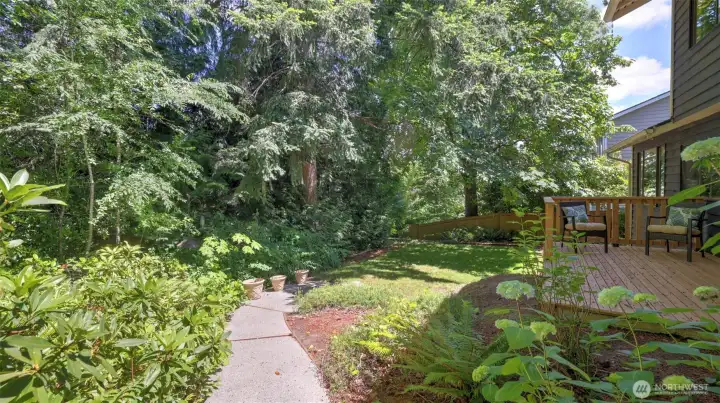 Professionally designed landscape with native plants & organic perennial garden beds. Professionally designed landscape with native plants & organic perennial garden beds.