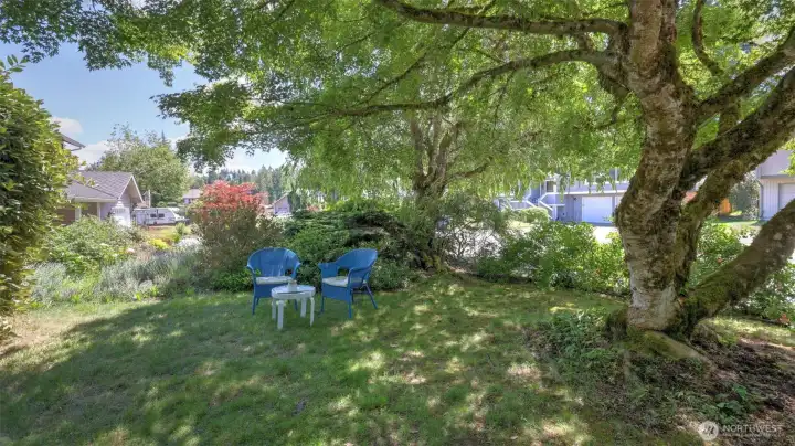 Mature landscaping in the front and back of home - adding extra privacy! Mature landscaping in the front and back of home - adding extra privacy!