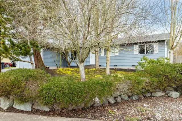 Front Yard with Mature Landscaping