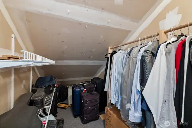 Secret closet