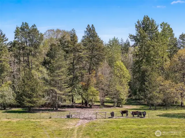 Pasture/Timber