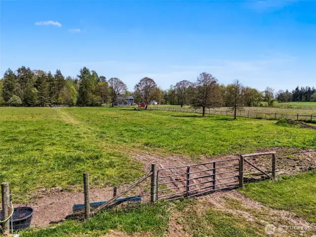 Pasture/Timber