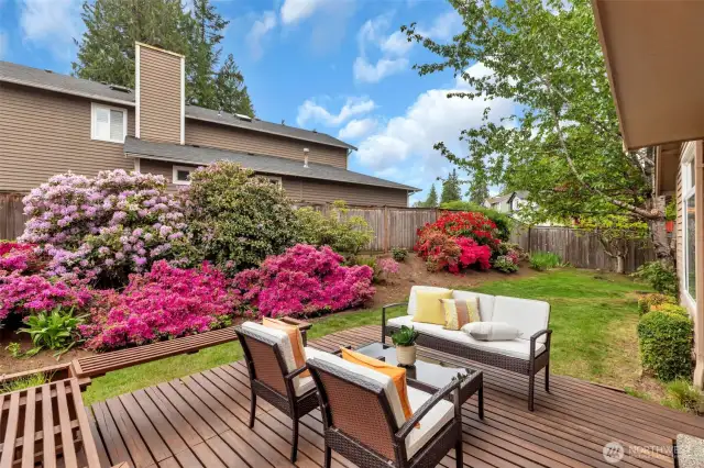 Deck with built-in bench, ideal to entertain and relax.