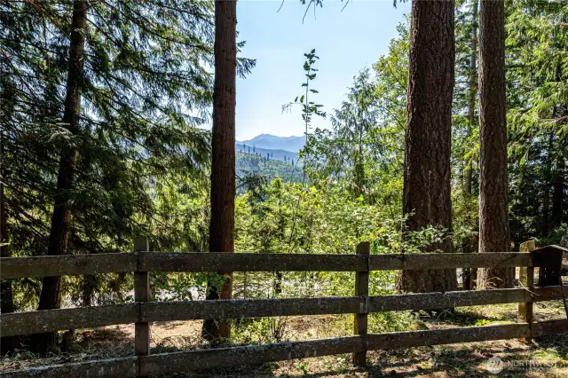 View from Front Yard