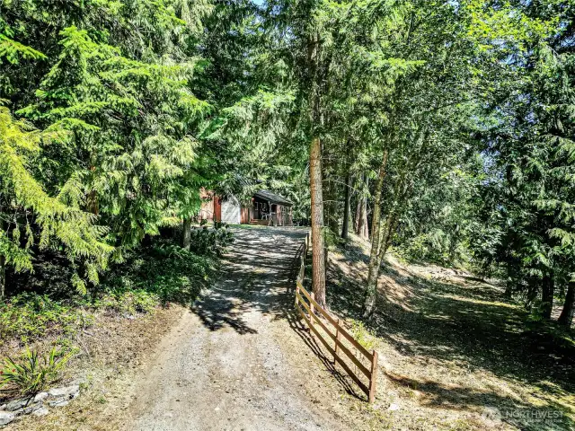 Driveway to Home