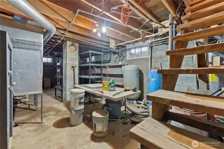 Unfinished basement with shelving and utility setup, offering excellent storage space or potential workshop area.