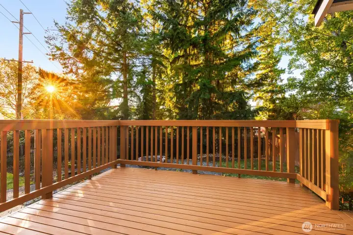 Freshly stained deck