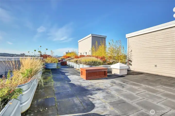 Rooftop deck with gorgeous views!