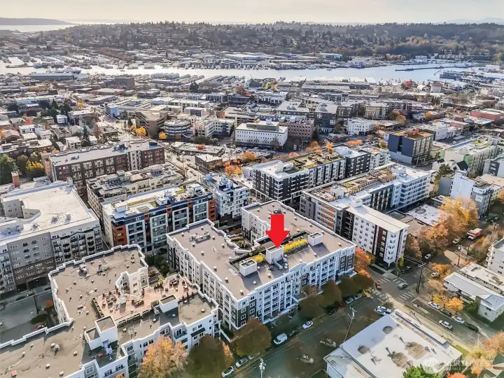 Looking southwest toward Magnolia, just beyond Salmon Bay, with the Ballard Locks at the upper right.