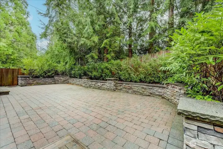 Massive backyard patio!  P