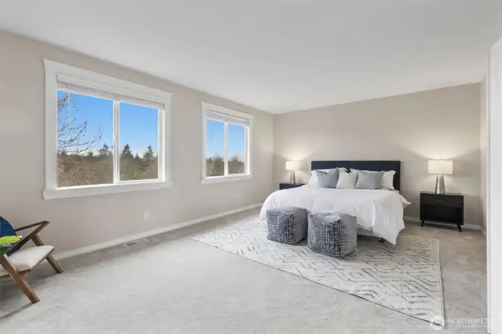 Massive Primary bedroom overlooking the back yard and views of mountains and valley