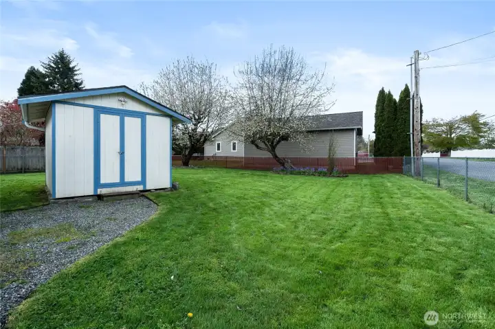 Large Shed Perfect for Gear & Hobbies