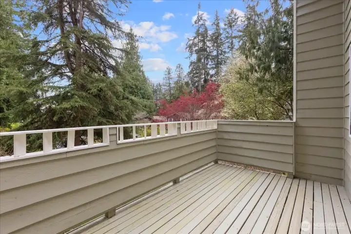 Large deck off of primary suite.